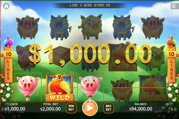 angry piggies 3