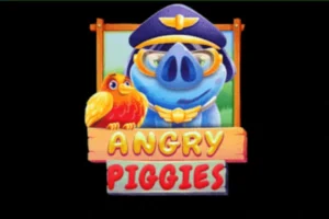angry piggies angry piggies 300x200