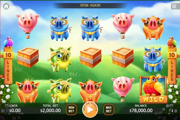 angry piggies 5