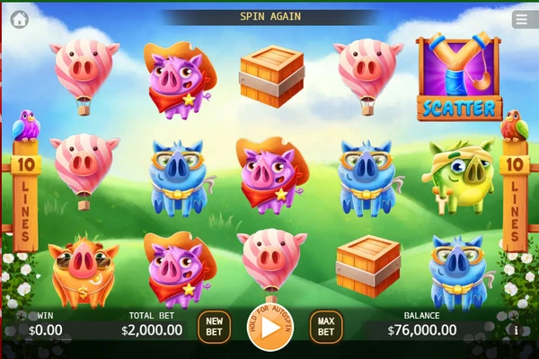 angry piggies 6