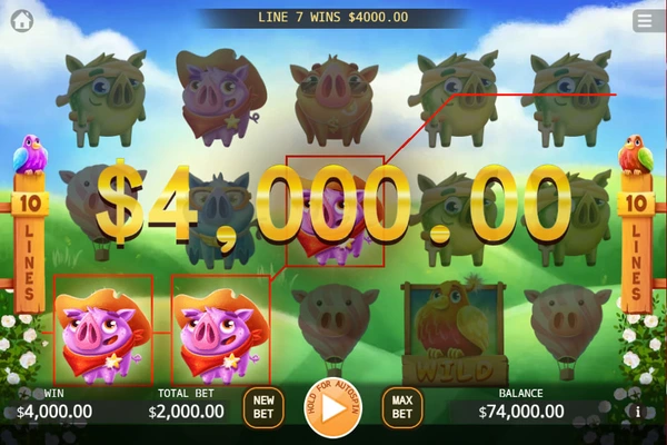angry piggies 7