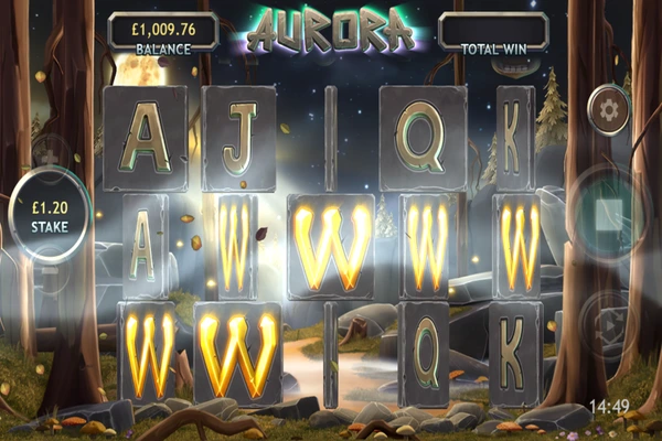 aurora 6